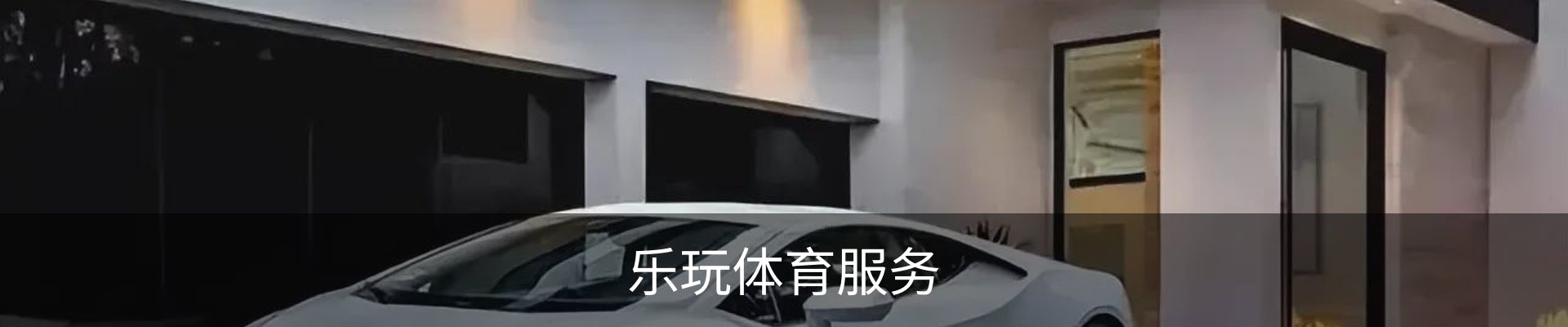 乐玩体育服务
